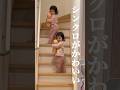 【双子の日常】無意識のシンクロがかわいい