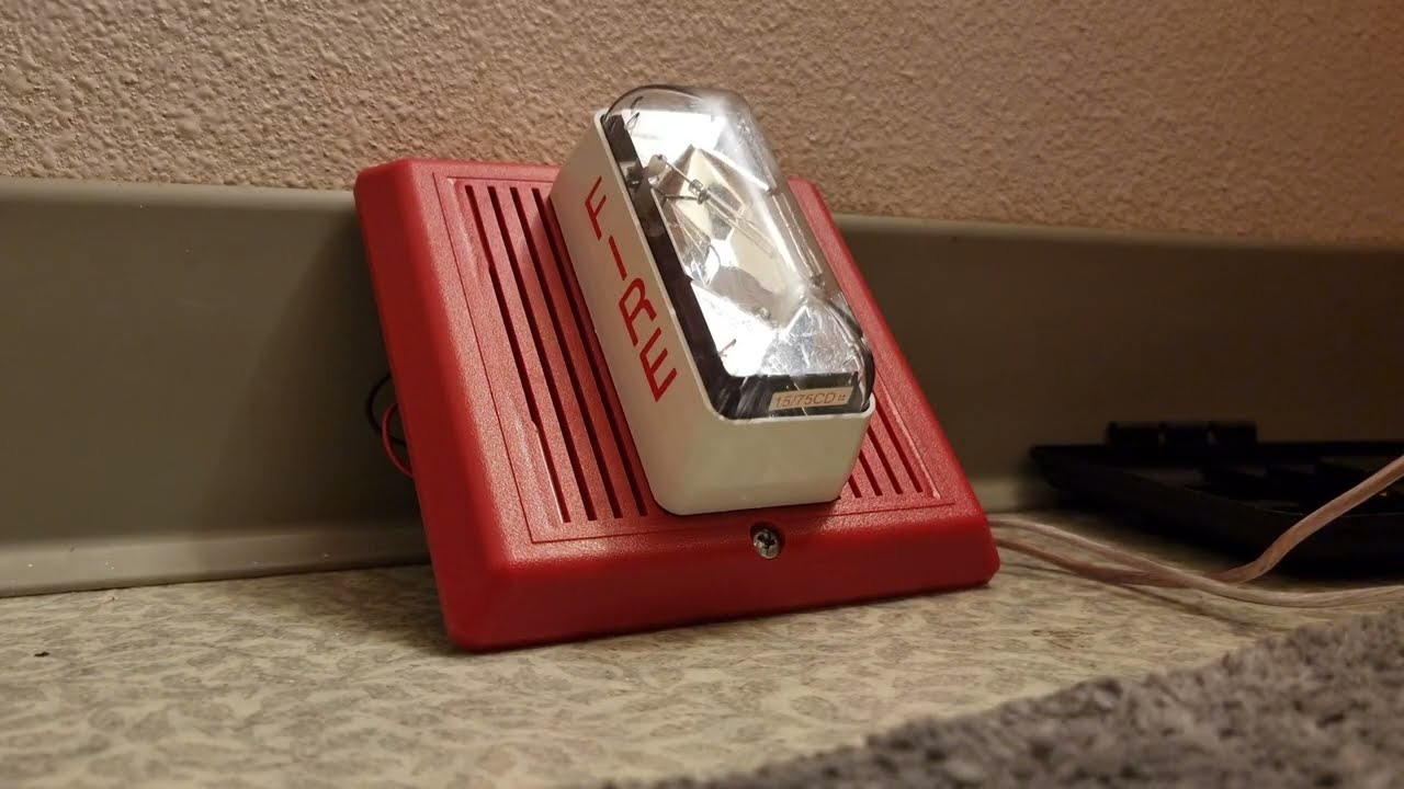 Edwards Signaling Integrity Horn/Strobe