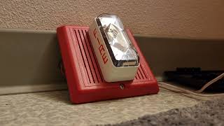 Edwards Signaling Integrity Horn/Strobe
