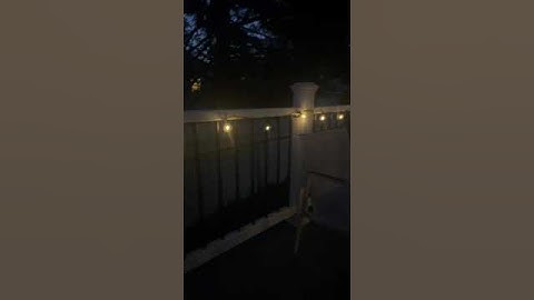 Solar String Lights: The Ultimate Guide to Outdoor Lighting