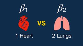 Beta Receptors Made Easy | Animated with Mnemonics | ANS Pharmacology