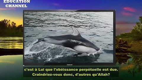 MAGNIFIQUE RÉCITATION DU CORAN - Hazza Al Balushi سورة النحل هزاع البلوشي
