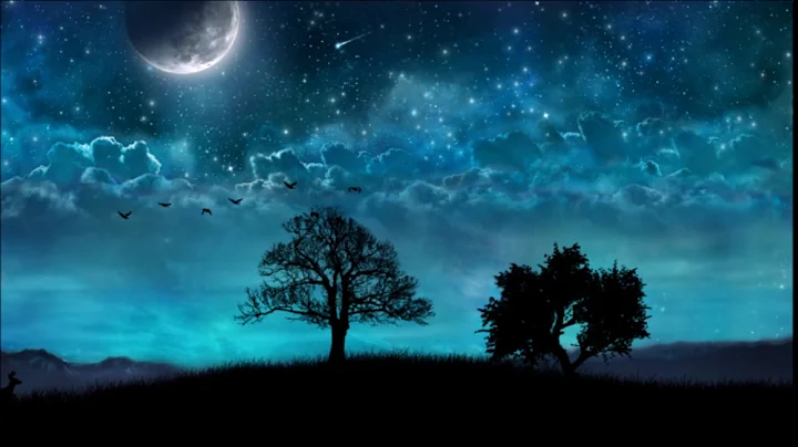 The Power of the Night by Timothy Copeland