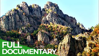 Wild Carpathia | Episode 2: From the Mountains to the Sea | Free Documentary Nature