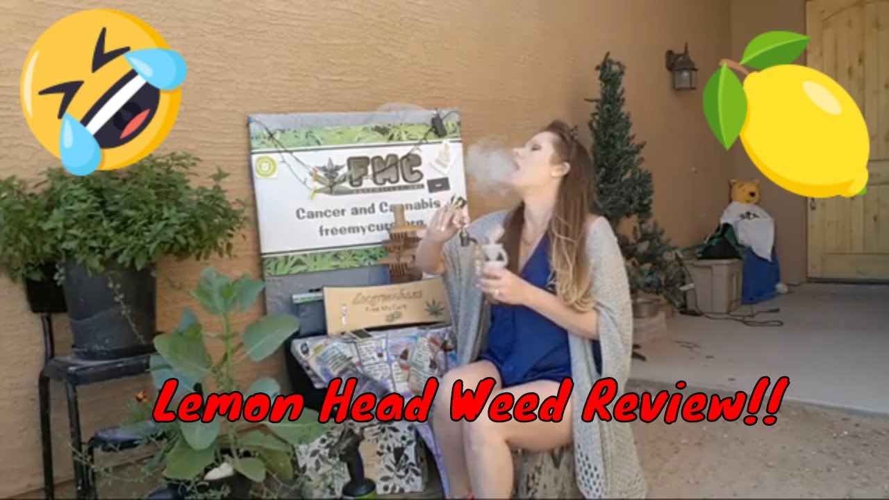 Lemon head Concentrate Weed Review From Arizona Organix!!