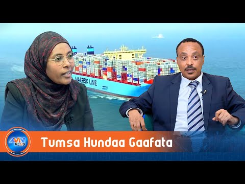 Ulaa Galaanaa Milkeessuuf Gama Hundaan Mootumma Cina Dhaabbachuu Barbaachisa