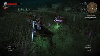 The Witcher 3 Cat school is so OP