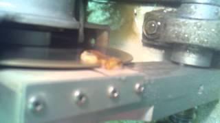 Cutting Thin Section