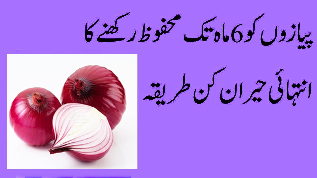 How To Keep Onion Fresh For A Long Time In Urdu YouTube How To Keep Onion Fresh For A Long Time In Urdu YouTube