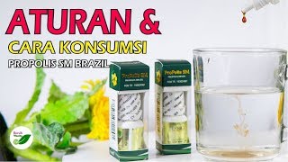 Obat Gusi Bengkak & Berlubang - Obat Sakit Gigi - Obat Gigi Ngilu - Propolis SM