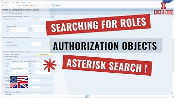Searching for Roles and Authorization Objects Using SUIM - Asterisk Search [english]