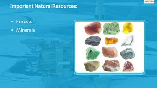 Natural Resources | Our Environment | Now You Know Book 3 | Periwinkle