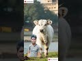 #funny #baby #cutebaby #shorts #vidio #viral #automobile