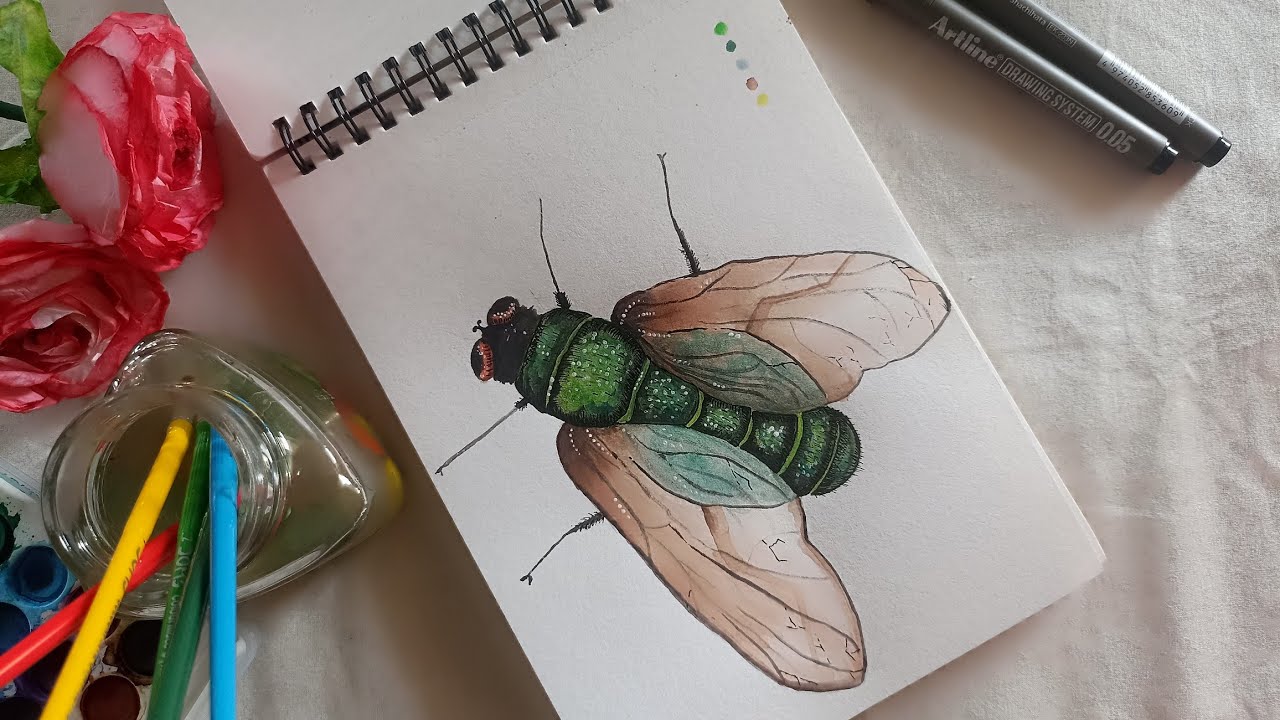 How to Draw an Insect/Beginner Practice - YouTube