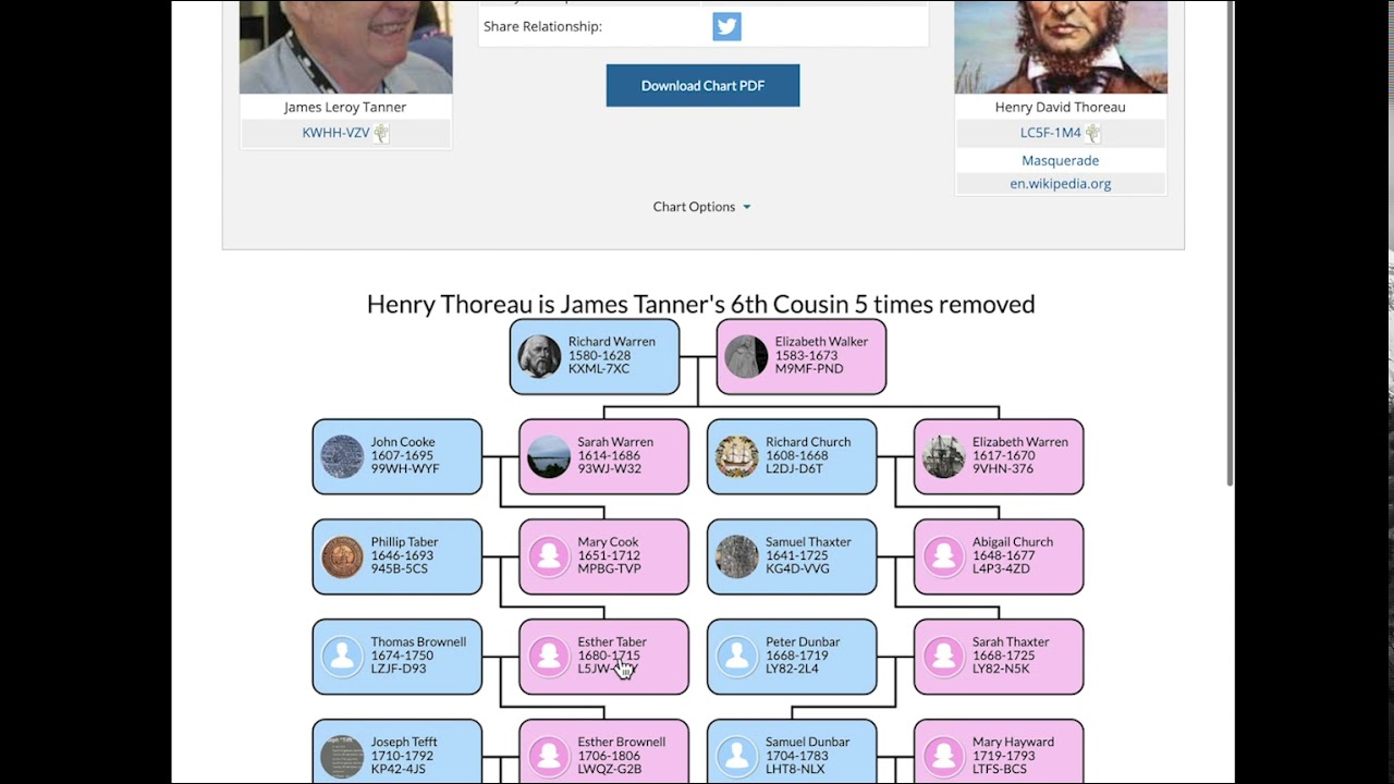 Cousin Finder Chart