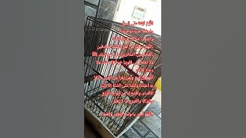 القرآن الكريم#راحة_نفسية  بصوت الشيخ#يوسف العيدروس#سورة الإسراء#القرآن_الكريم # #viralshort #القرآن