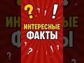 Броненосец: млекопитающее в панцире
