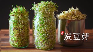 发豆芽 (瓶装法)  Sprouting in a Jar by 小高姐的 Magic Ingredients 427,153 views 8 months ago 5 minutes, 24 seconds