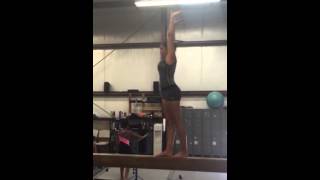 Beam - Split 1/2, wolf full