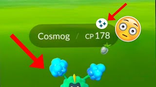 First time Shiny Cosmog in Pokemon Go.