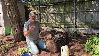 Green Wood Storage