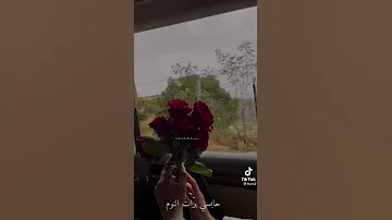 اغنية حبيتك تنسيت النوم حالات واتس اب 