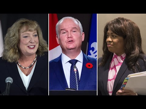 Lewis, Gladu snubbed from O'Toole's new shadow cabinet | COVID-19 in Canada