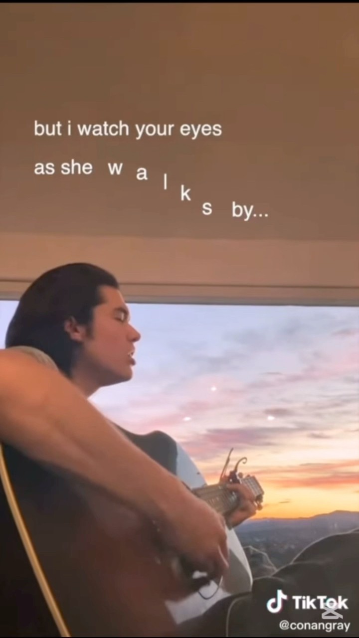 He’s as pretty as the sunset ? #foundheaven #concert #coneheads #conangray #kidkrow