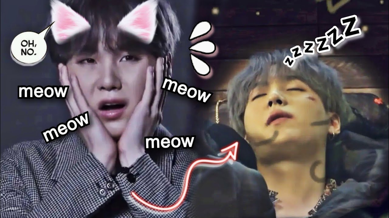 Proof That Yoongi is a Real Cat