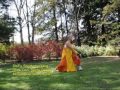 ☸️ TAOLU XIAO HONG QUAN + SHAOLIN ROU QUAN TAI CHI