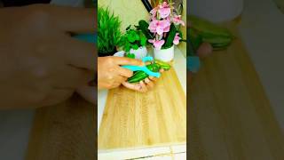 ঋণ থেকে মুক্তির দোয়া। #ঋণ #মুক্তি #পটল