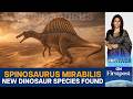 Scientists Discover New Dinosaur Species in Africas Sahara Desert | Vantage With Palki Sharma