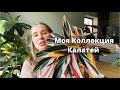 Обзор комнатных растений. Моя коллекция калатей.