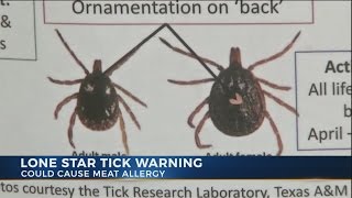 Tick that causes red meat allergy headed for Central Ohio