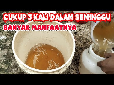 Manfaat Kuah Ayam Kampung