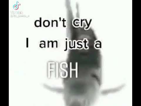 герда штольц комиксы. Don't cry i just fish мем. ай эм джаст э фиш. ай эм джаст. траст ми ай эм инженер.