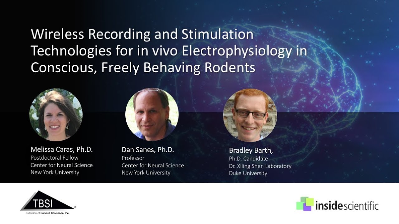 Wireless Recording and Stimulation Technologies for in vivo ...