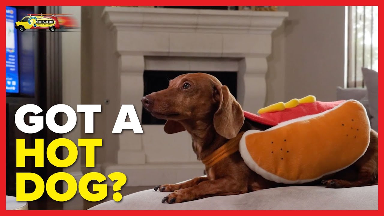 Got A Hot Dog? Call Milestone!