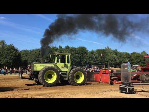 MB Trac 1600 turbo Trecker Treck Sport Tractorpulling