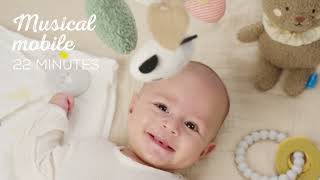 Taf toys Luxury Newborn Kit