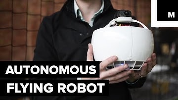 This Cute, Flying Robot Could Be Your New Bestie