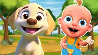 BINGO Dog Song 🐶 | Classic Nursery Rhyme for Kids #kidssongs #nurseryrhymes #bingo