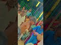 🔥💥 #sudalaimadasamykovilkodai #madasamy_villupattu #viralshort #millionviews #shortvideo #trending