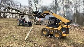Turning Forest into Pasture using the stihl 500i and a cat skidsteer 
