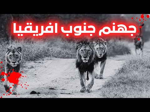 اخر اخبار الدم في سابي ساند جهنم الاسود الافريقيه هتتصدموا