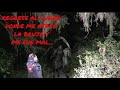 El regreso al bosque de las brujas