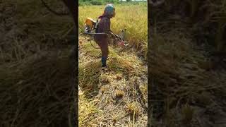Mashine ya kuvuna mpunga/ngano Mashine ya kuvuna mpunga/ngano