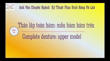 Anh Văn Chuyên Ngành Labo #10 Tháo lắp toàn hàm Dấu móc giải phẫu trên mẫu hàm hàm trên