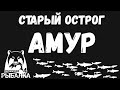 Где и на что клюет амур? Смотри самые лучшие точки старого острога. Русская рыбалка 4.