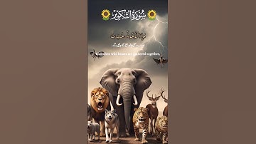Surah At-Takwir | The Signs of the Last Day | سورة التكوير كاملةانقلاب الكون في يوم القيامه  #quran